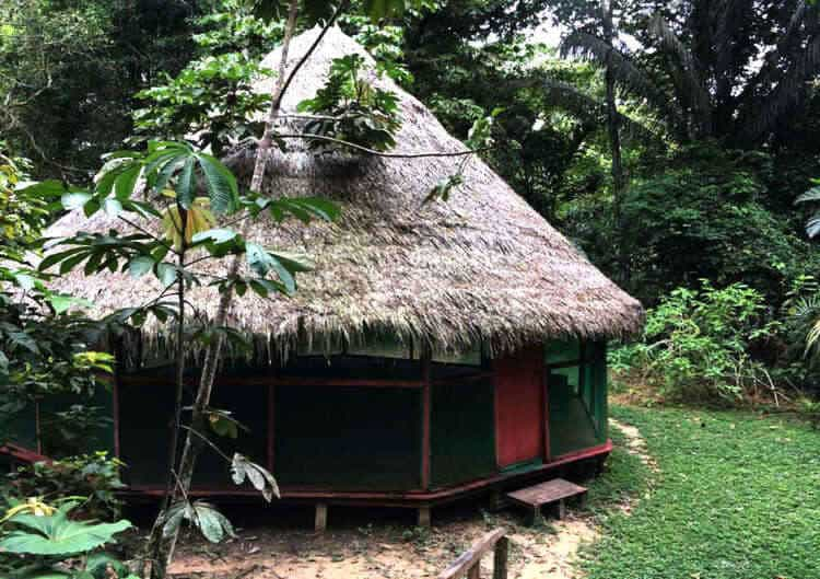 Retreats form ayahuasca