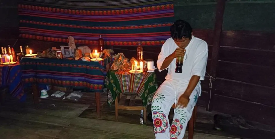 The Purpose of an Ayahuasca Retreat